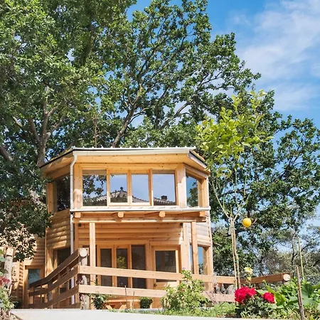 Romantic Tree House בית נופש Kato Pavliana