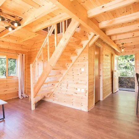 בית נופש Romantic Tree House