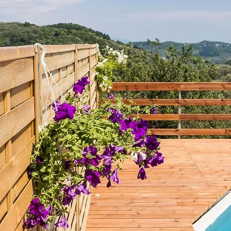 Romantic Tree House בית נופש