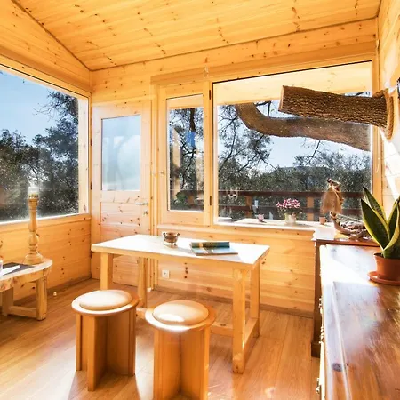 Romantic Tree House *