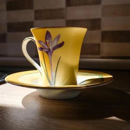 Сasa de vacaciones Romantic Tree House *