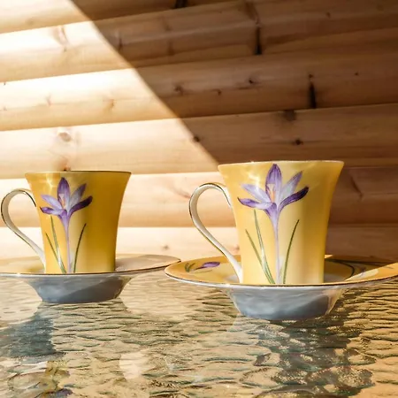 Romantic Tree House *