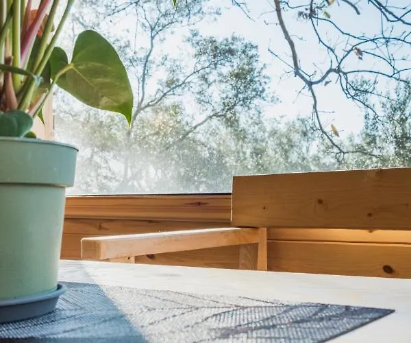 Romantic Tree House * Kato Pavliana