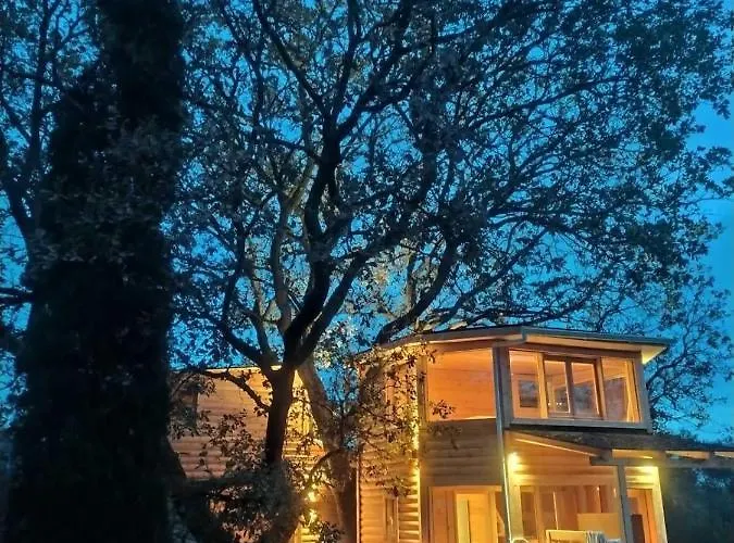 Romantic Tree House * Kato Pavliana