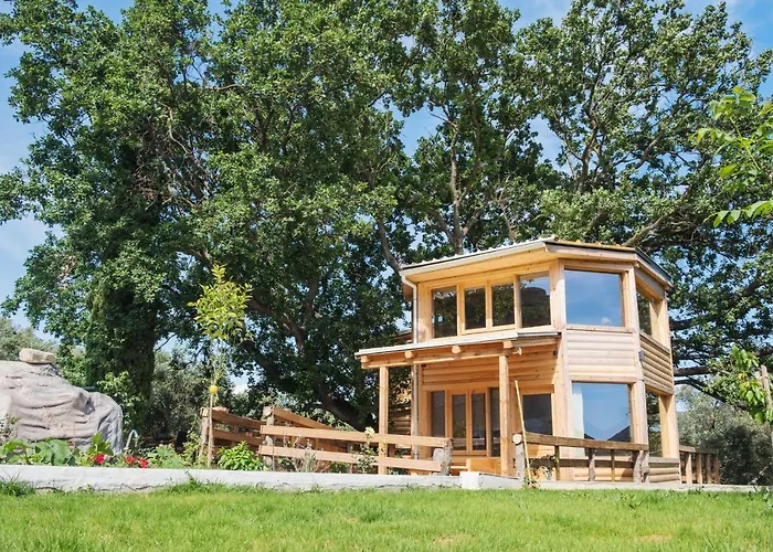 Case de vacanță Romantic Tree House