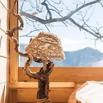 Romantic Tree House *