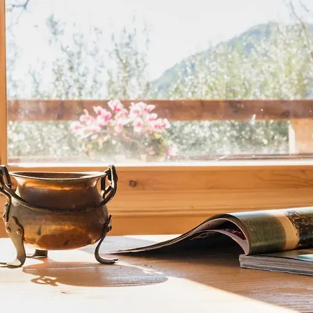 Romantic Tree House *