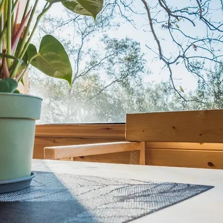 Romantic Tree House * Kato Pavliana