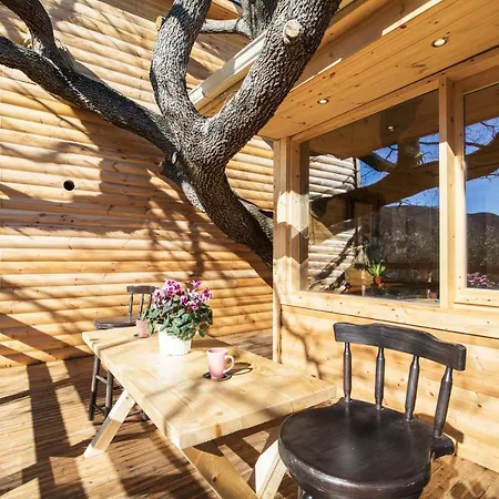 Romantic Tree House * Kato Pavliana