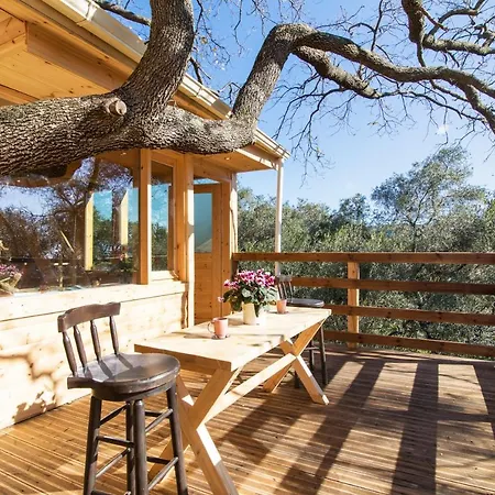 Dom wakacyjny Romantic Tree House *